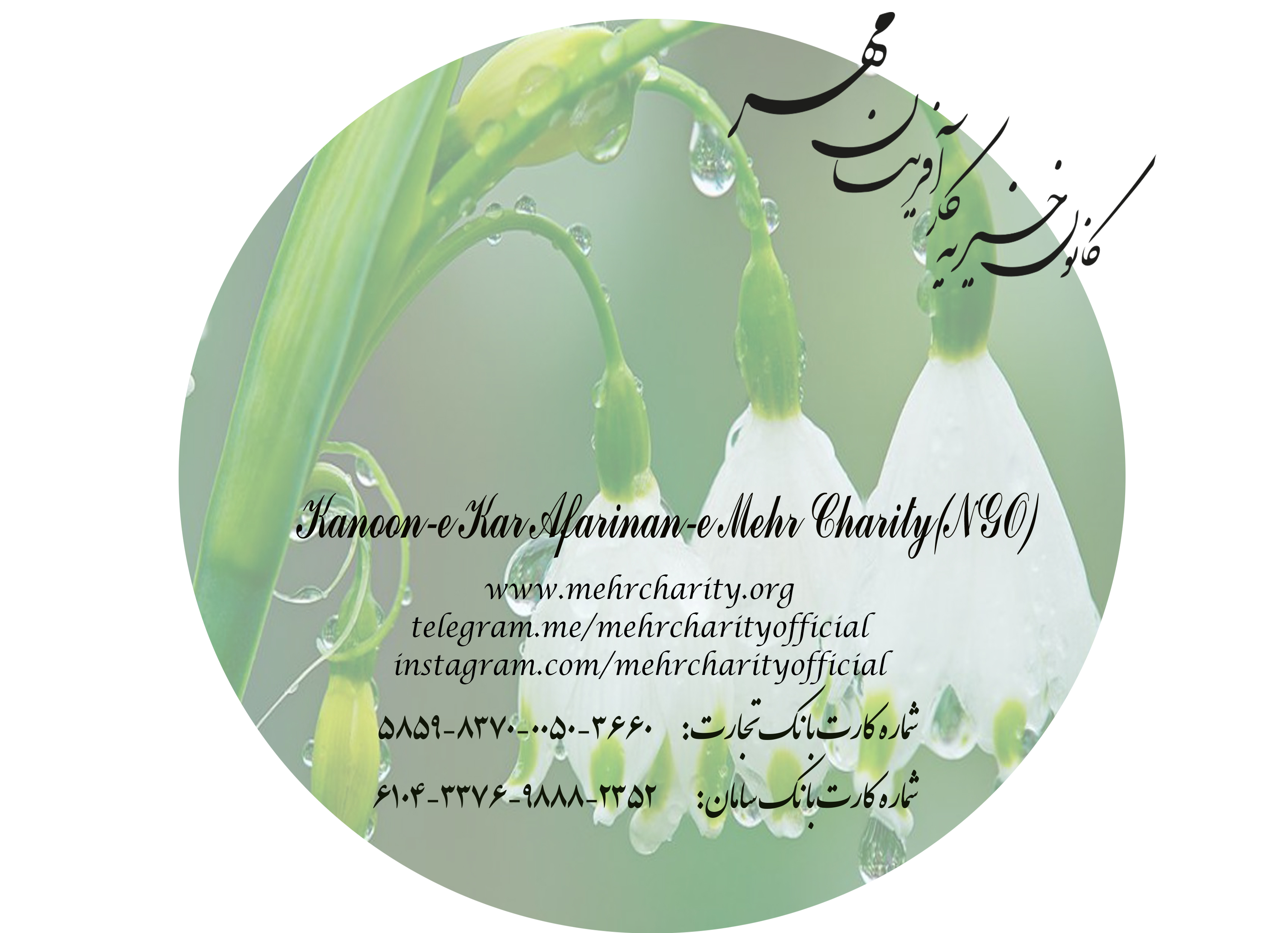 مشارکت های مردمی